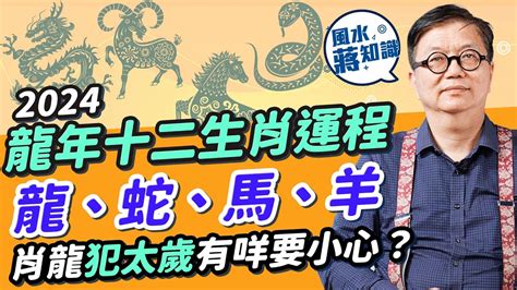 2024年生肖運程龍|2024龍年生肖運程｜屬龍/蛇/馬整體運勢，雲文子犯太歲化解方法